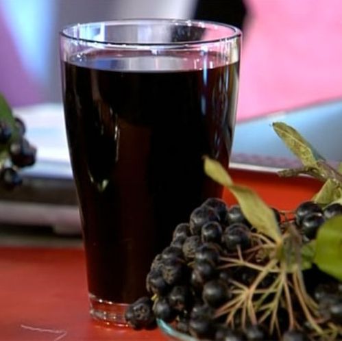 Вино из черноплодной рябины, пошаговый рецепт с фото от автора konstanta